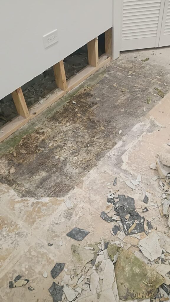 Basement before renovation — Northbrook, IL