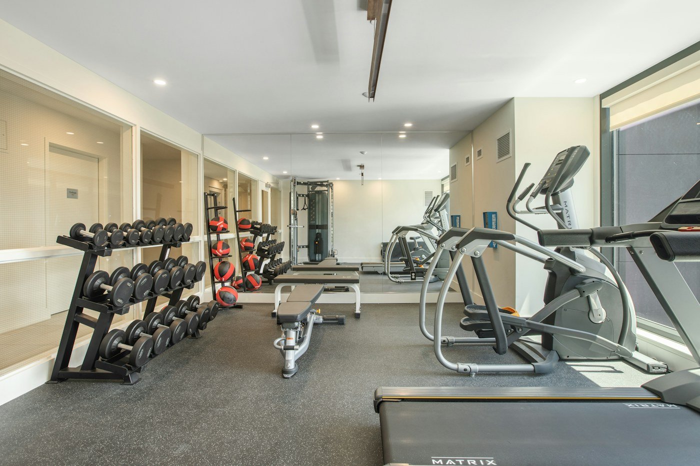 Basement home gym with rubber flooring and professional equipment