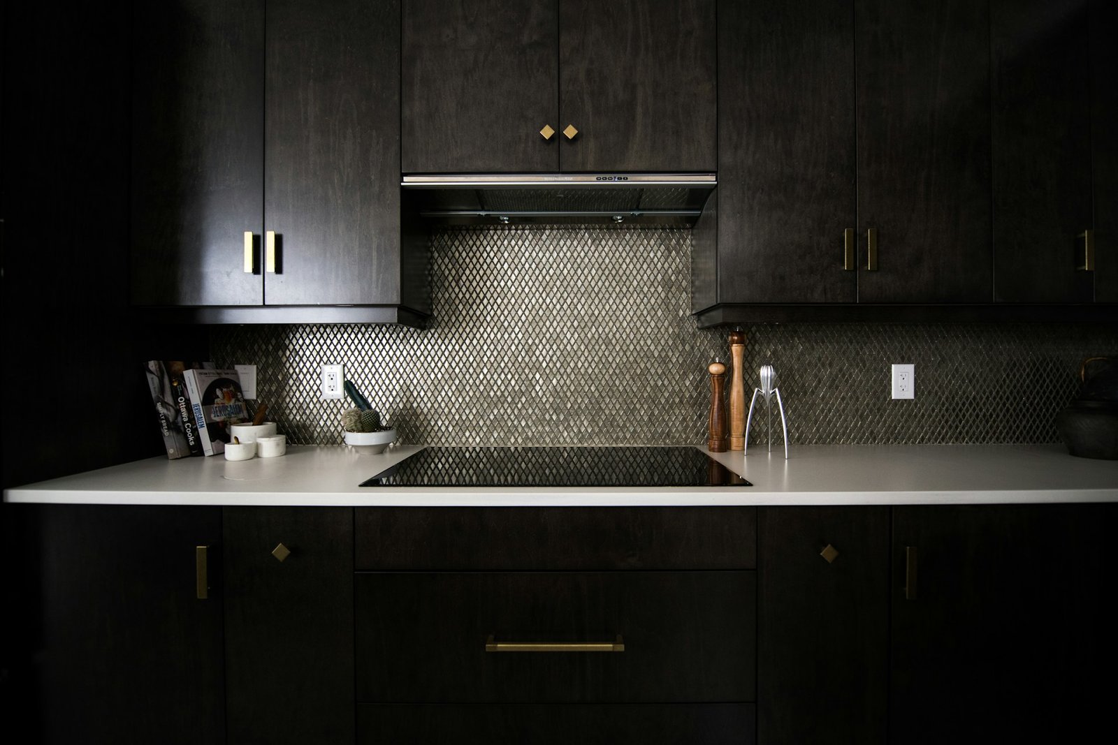 Kitchen appliances and dark cabinetry finishes Chicago